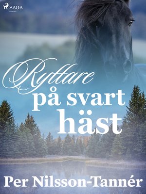 cover image of Ryttare på svart häst